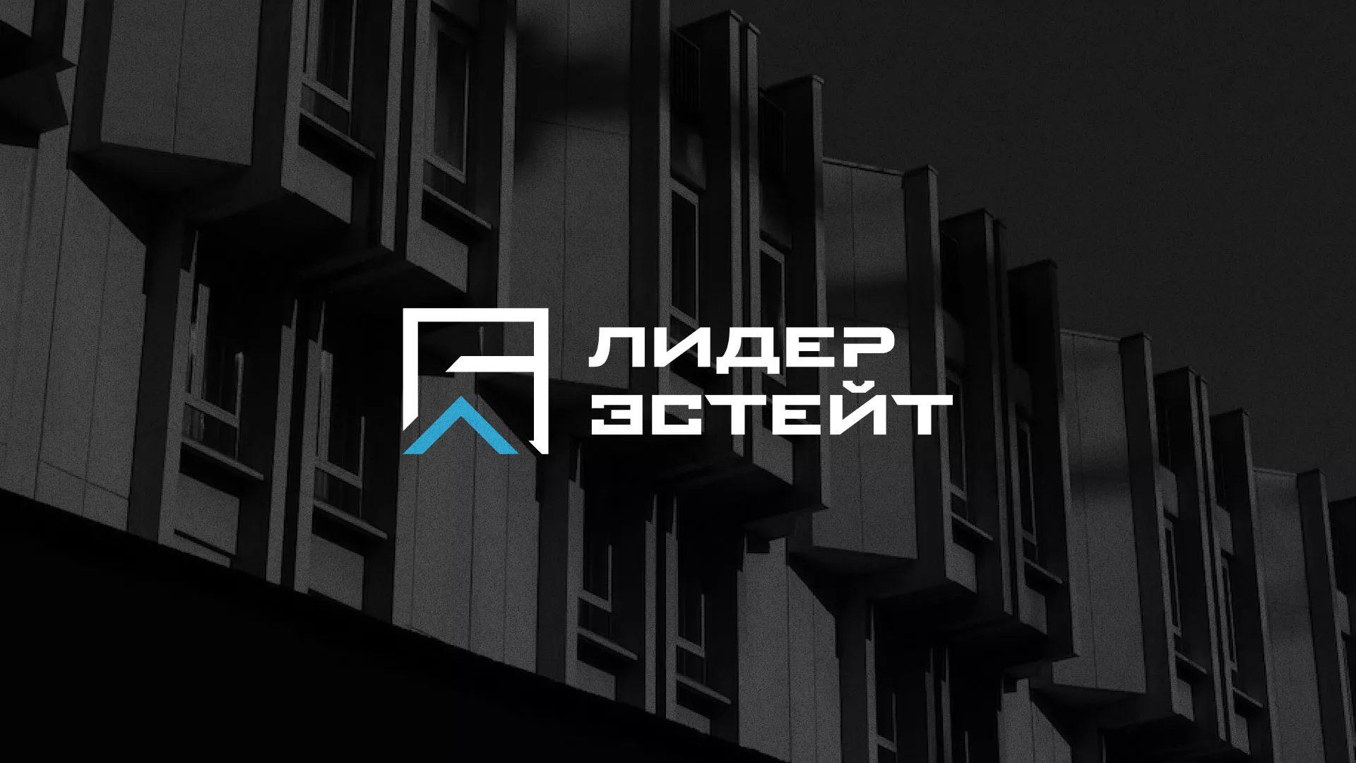 Разработка логотипа агентства недвижимости «Лидер Эстейт» в Зверево